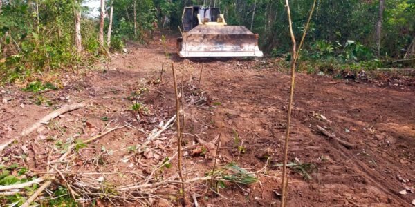 Pembukaan Jalan di Blambangan Umpu Tingkatkan Mobilitas dan Ekonomi Desa