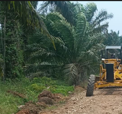 Dari Akses Terbatas Jadi Jalur Penghubung, Jalan TMMD ke-130 Kodim 0407/Kota Bengkulu Bawa Harapan Baru Dari Akses Terbatas Jadi Jalur Penghubung, Jalan TMMD ke-130 Kodim 0407/Kota Bengkulu Bawa Harapan Baru